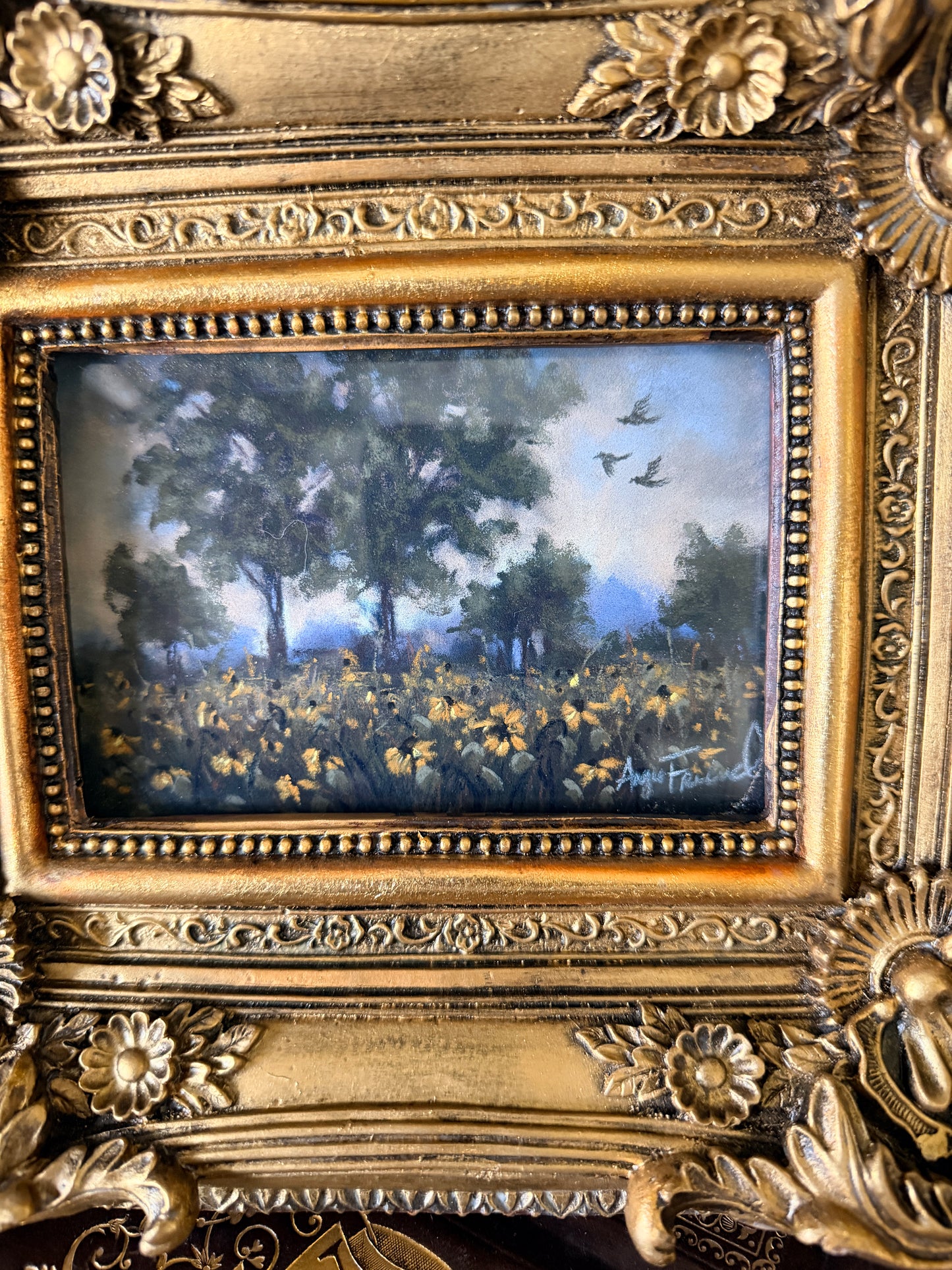 Golden Meadow