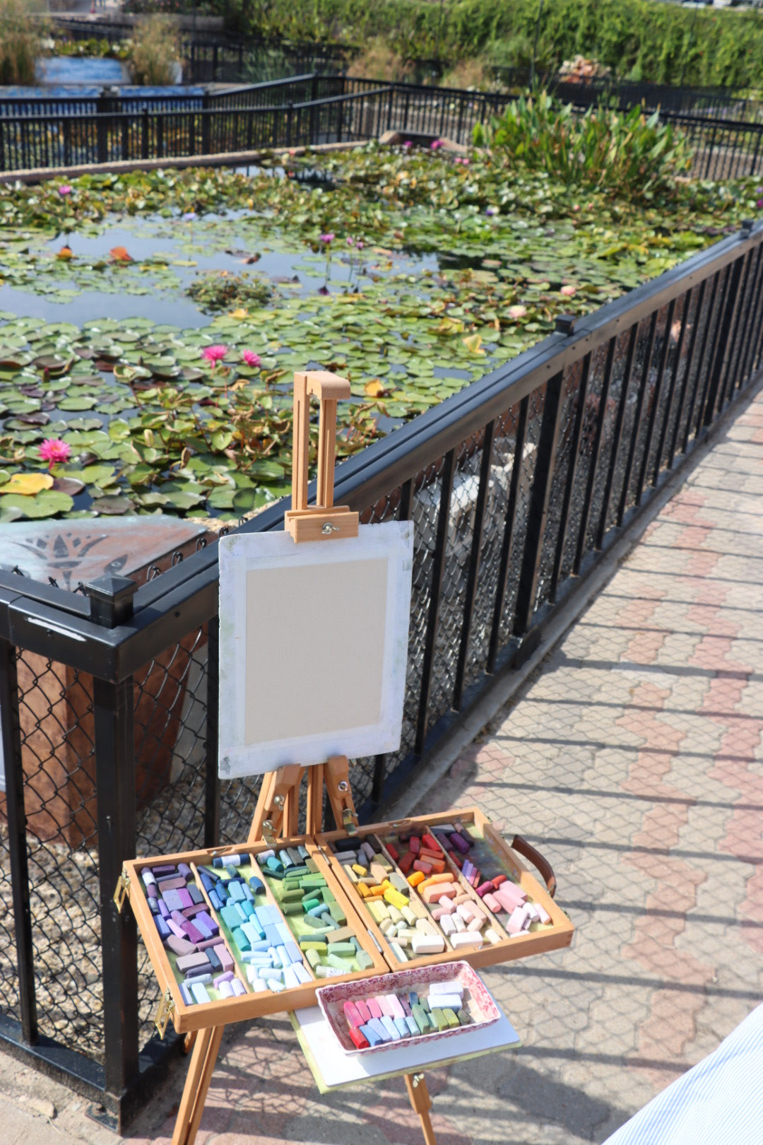 WaterLily Whispers
